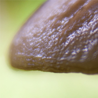 Introduction To Sharpening – Part One: The Basics
